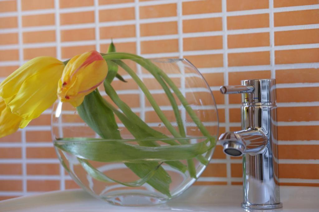 I Colori Del Vento B&B 발더라이스 외부 사진